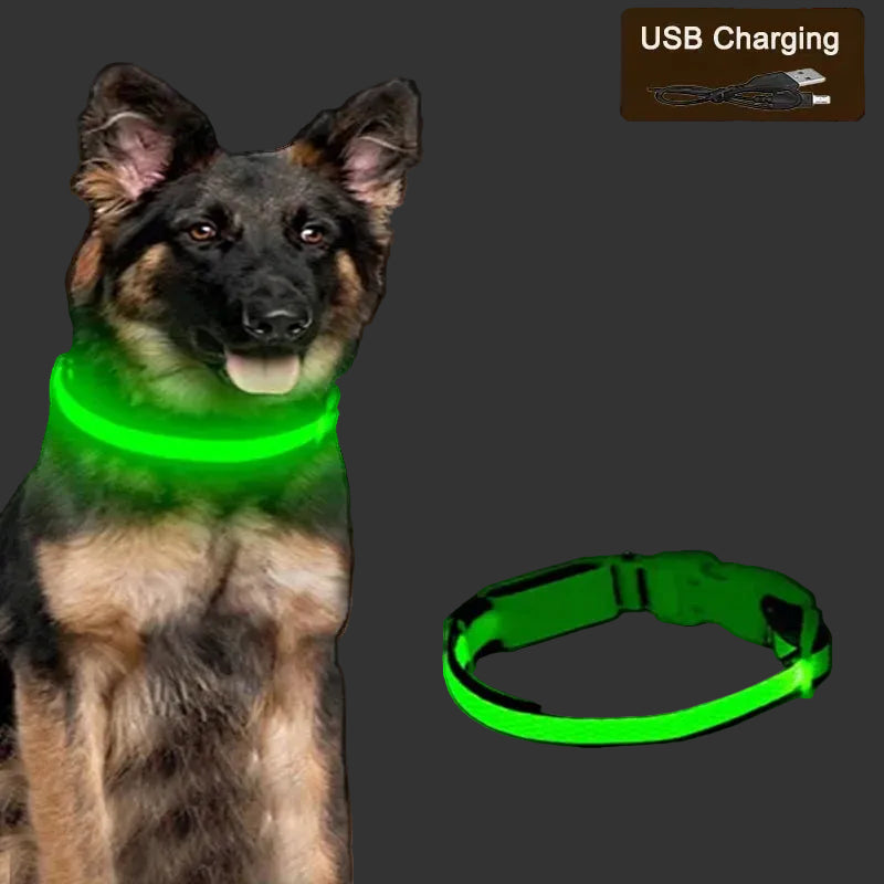 NightPaw LED