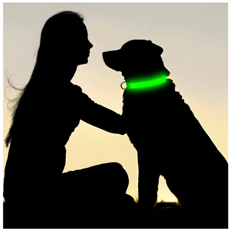 NightPaw LED