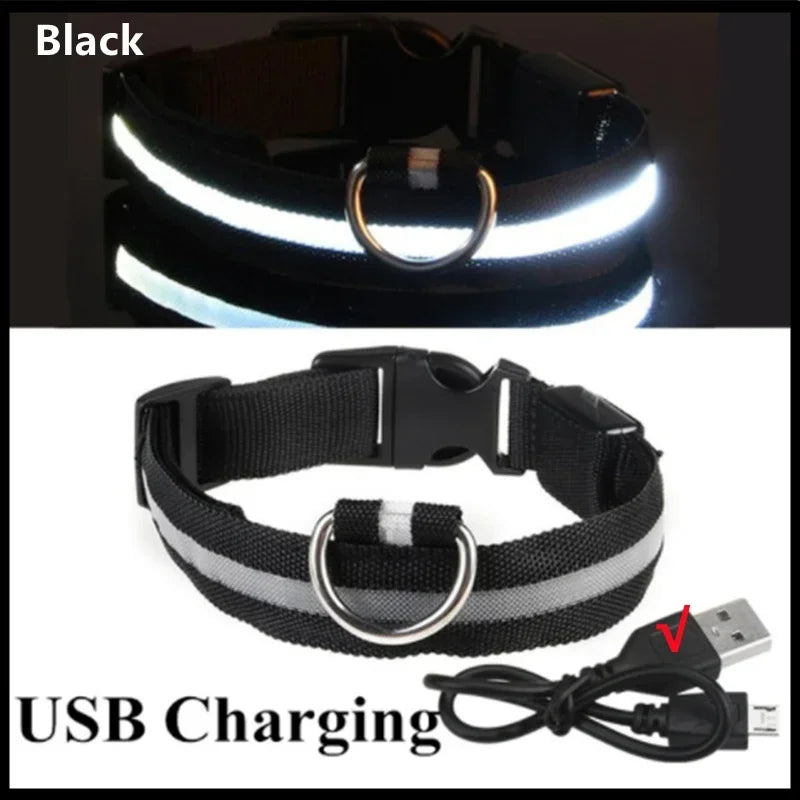 NightPaw LED