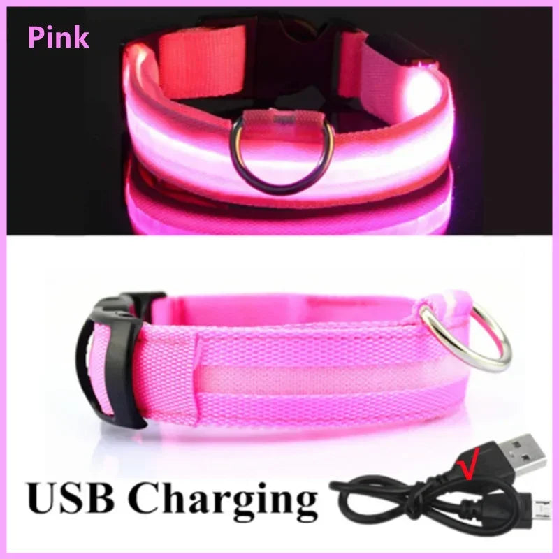 NightPaw LED