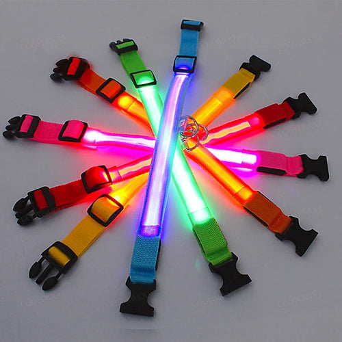 NightPaw LED
