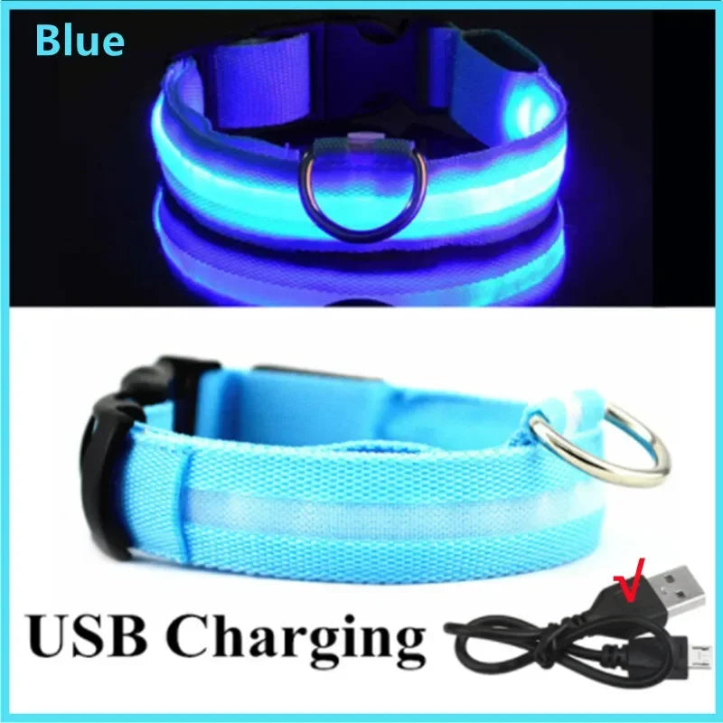NightPaw LED